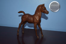 Load image into Gallery viewer, Woodgrain Foal-Family Arabian Foal Mold-Breyer Traditional
