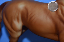 Load image into Gallery viewer, Lonesome Glory-Original on the Mold-Breyer Traditional