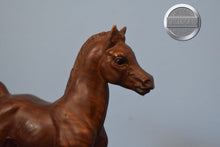 Load image into Gallery viewer, Woodgrain Foal-Family Arabian Foal Mold-Breyer Traditional