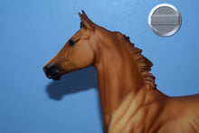 Load image into Gallery viewer, Lonesome Glory-Original on the Mold-Breyer Traditional