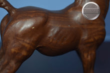 Load image into Gallery viewer, Woodgrain Foal-Family Arabian Foal Mold-Breyer Traditional