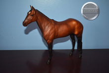 Load image into Gallery viewer, Bay Halla-Halla Mold-Breyer Traditional