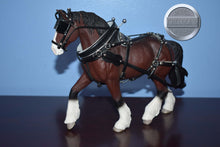 Load image into Gallery viewer, Unknown Brand-Draft WITH Harness-Misc