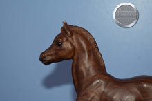 Load image into Gallery viewer, Woodgrain Foal-Family Arabian Foal Mold-Breyer Traditional