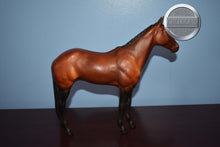 Load image into Gallery viewer, Bay Halla-Halla Mold-Breyer Traditional