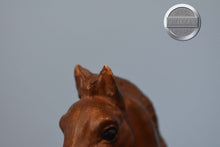 Load image into Gallery viewer, Woodgrain Foal-Family Arabian Foal Mold-Breyer Traditional