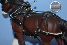 Load image into Gallery viewer, Unknown Brand-Draft WITH Harness-Misc