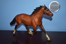 Load image into Gallery viewer, Bay Pacer from Brenda Harness Set-HORSE ONLY-Pacer Mold-Breyer Traditional