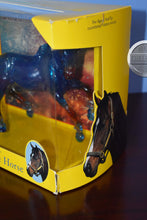 Load image into Gallery viewer, Illumination-Nokota Mold-Breyer Traditional