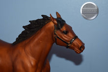Load image into Gallery viewer, Bay Pacer from Brenda Harness Set-HORSE ONLY-Pacer Mold-Breyer Traditional