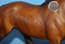 Load image into Gallery viewer, Bay Pacer from Brenda Harness Set-HORSE ONLY-Pacer Mold-Breyer Traditional