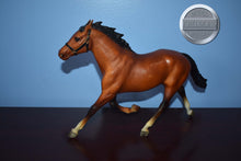 Load image into Gallery viewer, Bay Pacer from Brenda Harness Set-HORSE ONLY-Pacer Mold-Breyer Traditional