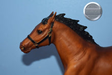 Load image into Gallery viewer, Bay Pacer from Brenda Harness Set-HORSE ONLY-Pacer Mold-Breyer Traditional