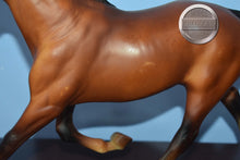 Load image into Gallery viewer, Bay Pacer from Brenda Harness Set-HORSE ONLY-Pacer Mold-Breyer Traditional