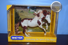 Load image into Gallery viewer, Isadora Cruce-Nokota Mold-Breyer Traditional
