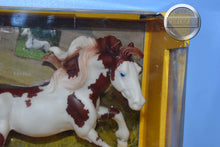 Load image into Gallery viewer, Isadora Cruce-Nokota Mold-Breyer Traditional