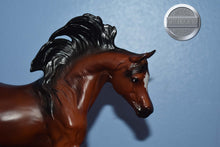 Load image into Gallery viewer, Mahogany Bay Arabian-Malik Arabian Mold-Breyer Classic