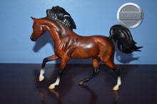 Load image into Gallery viewer, Mahogany Bay Arabian-Malik Arabian Mold-Breyer Classic