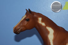 Load image into Gallery viewer, Chestnut Overo Paint #2-Lady Phase Mold-Breyer Traditional