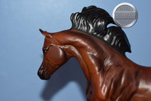 Load image into Gallery viewer, Mahogany Bay Arabian-Malik Arabian Mold-Breyer Classic