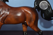 Load image into Gallery viewer, Mahogany Bay Arabian-Malik Arabian Mold-Breyer Classic