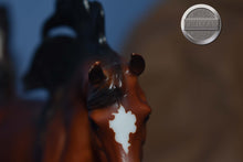 Load image into Gallery viewer, Mahogany Bay Arabian-Malik Arabian Mold-Breyer Classic