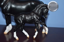 Load image into Gallery viewer, Nistar Blazing and Ethel Kansas-Welsh Mare and Foal Mold-Breyer Traditional
