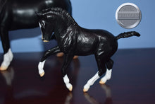 Load image into Gallery viewer, Nistar Blazing and Ethel Kansas-Welsh Mare and Foal Mold-Breyer Traditional