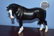 Load image into Gallery viewer, Nistar Blazing and Ethel Kansas-Welsh Mare and Foal Mold-Breyer Traditional
