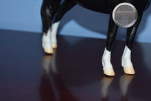 Load image into Gallery viewer, Nistar Blazing and Ethel Kansas-Welsh Mare and Foal Mold-Breyer Traditional