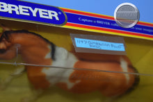 Load image into Gallery viewer, American Paint Horse-San Domingo Mold-Breyer Traditional