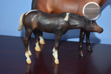 Load image into Gallery viewer, Cupid and Arrow-Thoroughbred Mare and Foal Set Mold-Breyer Traditional
