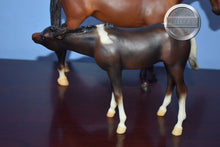 Load image into Gallery viewer, Cupid and Arrow-Thoroughbred Mare and Foal Set Mold-Breyer Traditional