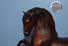 Load image into Gallery viewer, Justin Morgan-Sherman Morgan Mold-Breyer Traditional