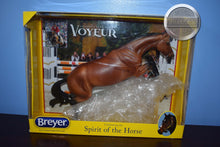 Load image into Gallery viewer, Voyeur-Bristol Mold-Breyer Traditional