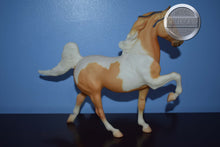 Load image into Gallery viewer, Class Act-Five Gaiter Mold-Breyer Traditional