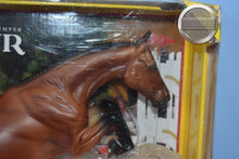 Load image into Gallery viewer, Voyeur-Bristol Mold-Breyer Traditional