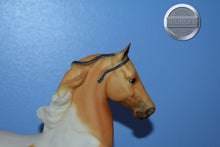 Load image into Gallery viewer, Class Act-Five Gaiter Mold-Breyer Traditional