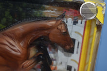 Load image into Gallery viewer, Voyeur-Bristol Mold-Breyer Traditional