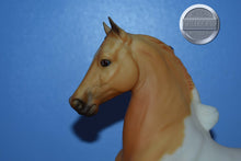 Load image into Gallery viewer, Class Act-Five Gaiter Mold-Breyer Traditional