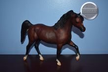 Load image into Gallery viewer, Ofir Sire of Witez-Black Stallion Mold-Breyer Traditional