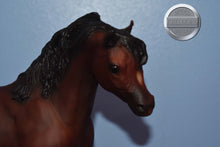 Load image into Gallery viewer, Ofir Sire of Witez-Black Stallion Mold-Breyer Traditional