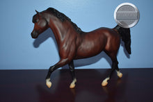 Load image into Gallery viewer, Ofir Sire of Witez-Black Stallion Mold-Breyer Traditional
