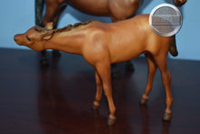 Load image into Gallery viewer, Vintage Nursing Mare and Foal-Thoroughbred Mare and Foal Set Mold-Breyer Traditional