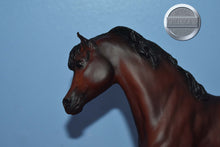 Load image into Gallery viewer, Ofir Sire of Witez-Black Stallion Mold-Breyer Traditional