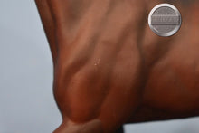 Load image into Gallery viewer, Ofir Sire of Witez-Black Stallion Mold-Breyer Traditional