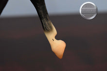 Load image into Gallery viewer, Ofir Sire of Witez-Black Stallion Mold-Breyer Traditional