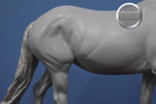 Load image into Gallery viewer, Custom White Unicorn-Haflinger Mold-Breyer Classic