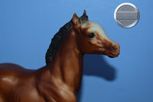 Load image into Gallery viewer, Vintage Bay Running Foal-Running Foal Mold-Breyer Traditional
