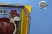 Load image into Gallery viewer, Seamus-Clydesdale Stallion Mold-Breyer Traditional